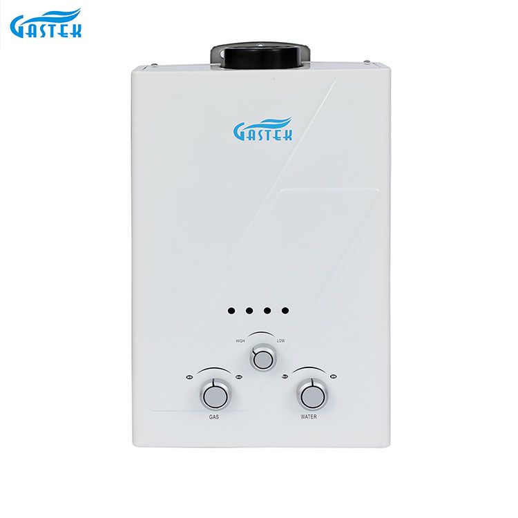 Flue mota horman 6L 10L 12L 16L 20L LPG Tankless Instant Gas Geyser dutxarako