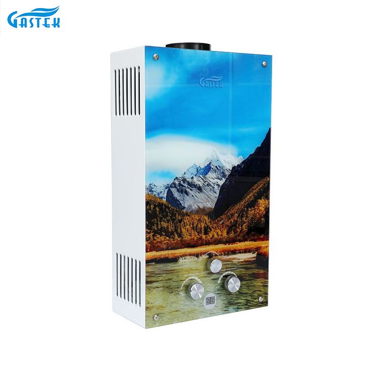 Tankless Flue Mota Beira Panela Gas Ur-berogailua Handizkako Gas Gayser sukalderako