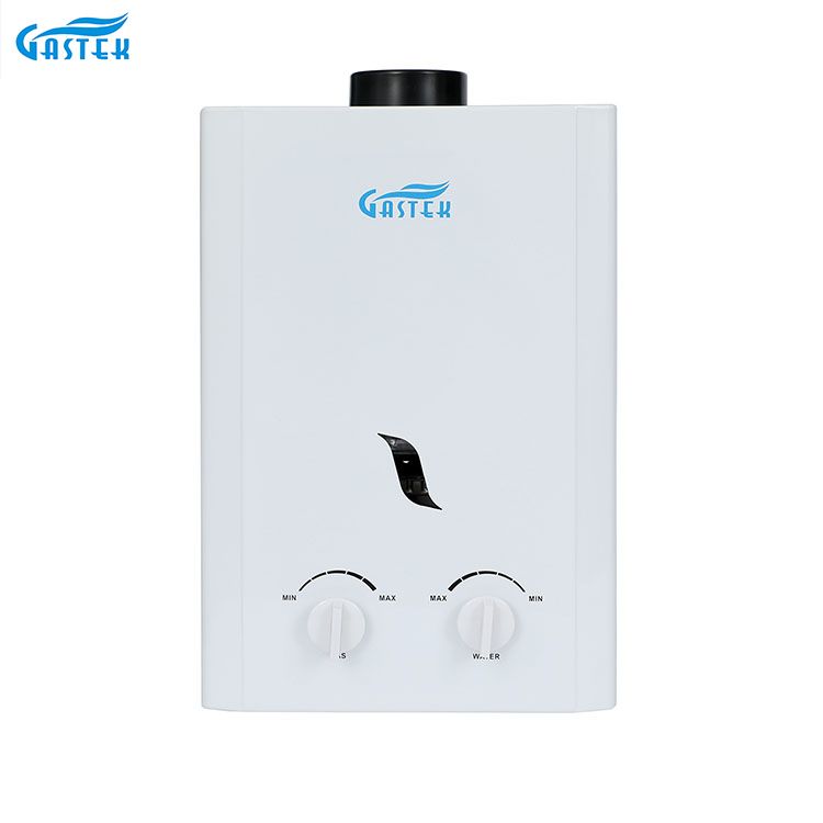 Flue Mota horman 6L 10L 12L 16L 20L LPG Tankless Berehalako Gas Ur bero berogailua dutxarako